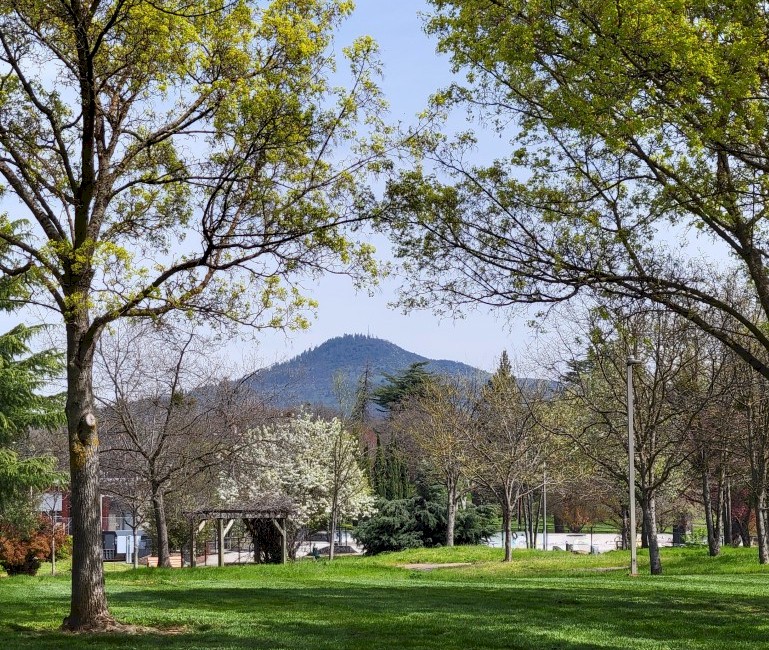 Roxy Ann Peak