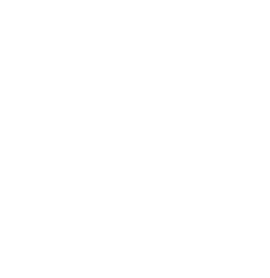 Rogue Tech Pros